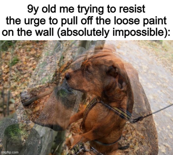 Fr tho 0-0 | 9y old me trying to resist the urge to pull off the loose paint on the wall (absolutely impossible): | made w/ Imgflip meme maker
