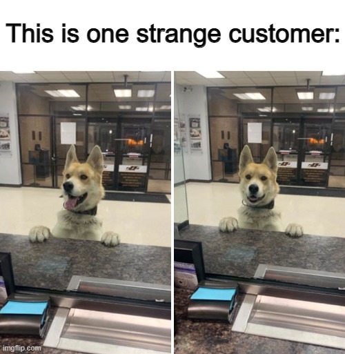 ... | This is one strange customer: | made w/ Imgflip meme maker