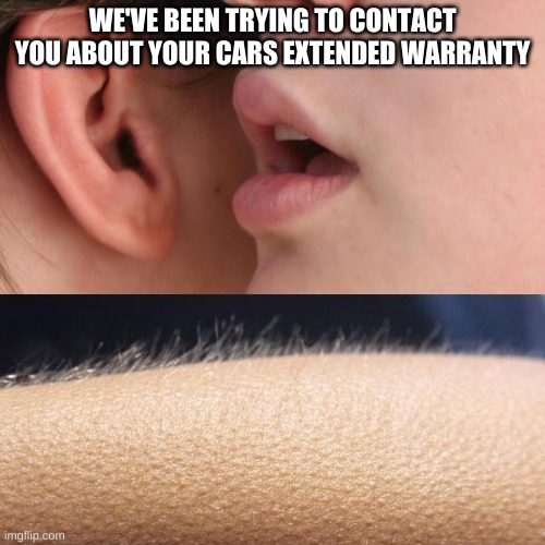 Whisper and Goosebumps | WE'VE BEEN TRYING TO CONTACT YOU ABOUT YOUR CARS EXTENDED WARRANTY | image tagged in whisper and goosebumps,memes | made w/ Imgflip meme maker