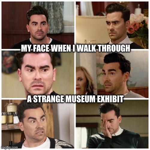 Walking Through a Strange Exhibit | MY FACE WHEN I WALK THROUGH; A STRANGE MUSEUM EXHIBIT | image tagged in david rose faces,museum,exhibits,art,strange | made w/ Imgflip meme maker