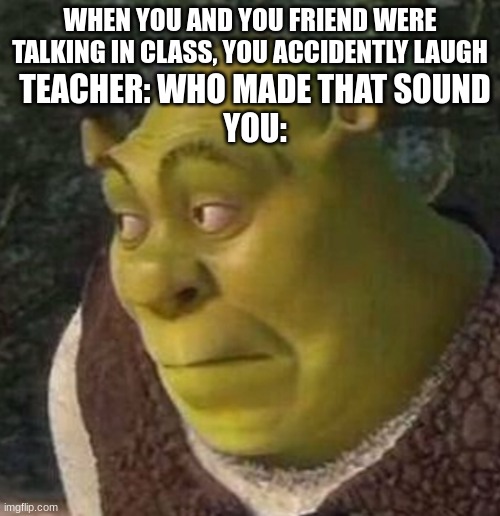 Shrek | WHEN YOU AND YOU FRIEND WERE TALKING IN CLASS, YOU ACCIDENTLY LAUGH; TEACHER: WHO MADE THAT SOUND
YOU: | image tagged in shrek | made w/ Imgflip meme maker