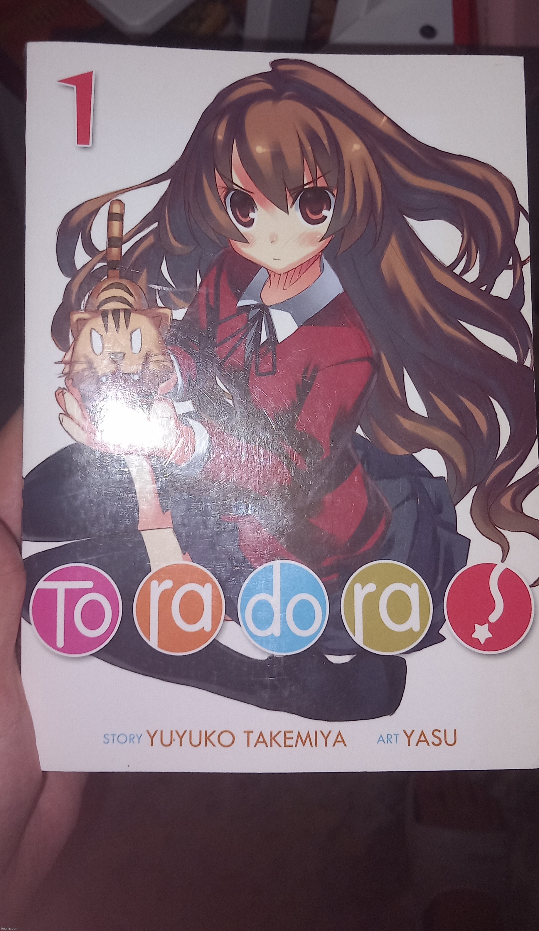 Going Down The List: Toradora!