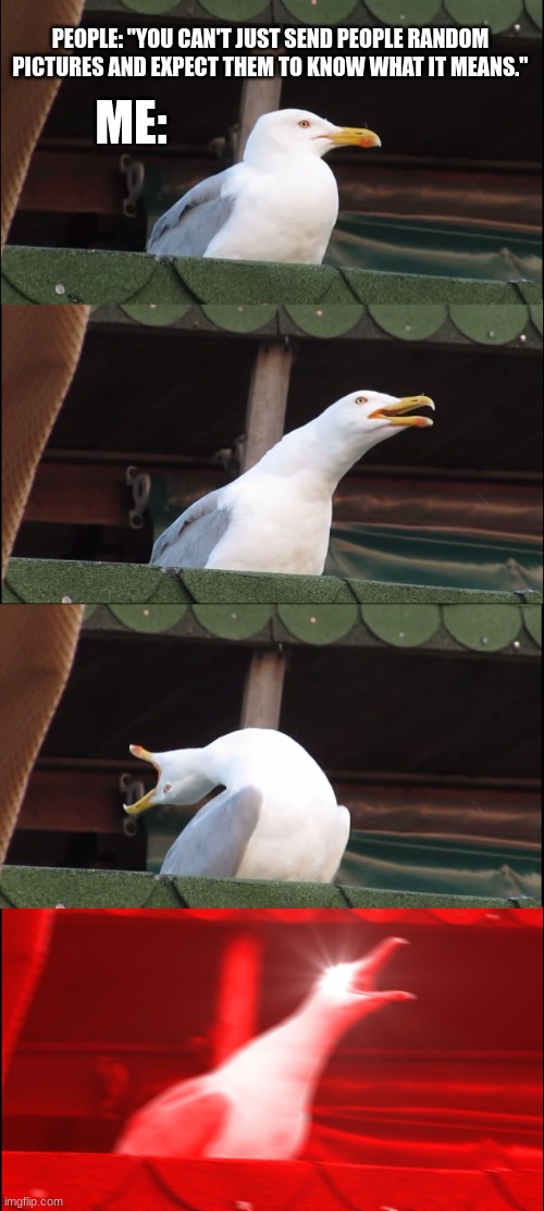 Inhaling Seagull | PEOPLE: "YOU CAN'T JUST SEND PEOPLE RANDOM PICTURES AND EXPECT THEM TO KNOW WHAT IT MEANS."; ME: | image tagged in memes,inhaling seagull | made w/ Imgflip meme maker