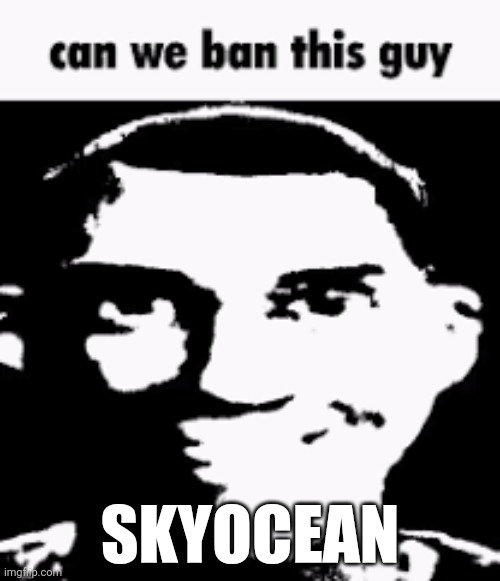 Can we ban this guy | SKYOCEAN | image tagged in can we ban this guy | made w/ Imgflip meme maker