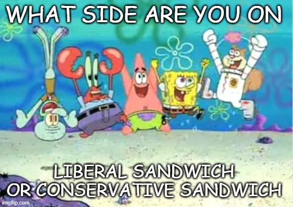 hip hip hooray | WHAT SIDE ARE YOU ON; LIBERAL SANDWICH  OR CONSERVATIVE SANDWICH | image tagged in hip hip hooray | made w/ Imgflip meme maker