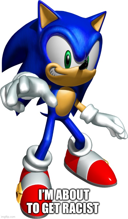 Sonic Heroes Sonic | I’M ABOUT TO GET RACIST | image tagged in sonic heroes sonic | made w/ Imgflip meme maker
