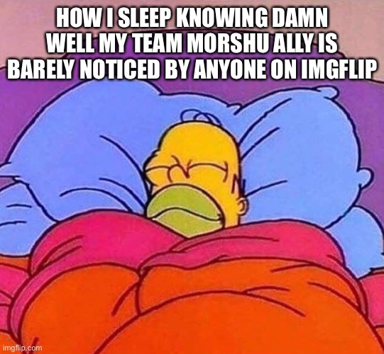 Homer Simpson sleeping peacefully | HOW I SLEEP KNOWING DAMN WELL MY TEAM MORSHU ALLY IS BARELY NOTICED BY ANYONE ON IMGFLIP | image tagged in homer simpson sleeping peacefully | made w/ Imgflip meme maker
