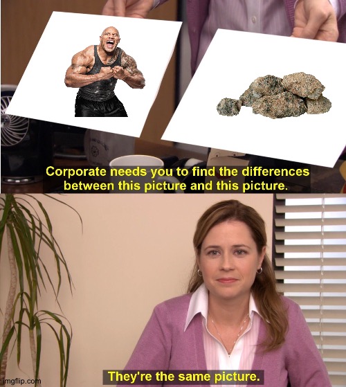 They're The Same Picture | image tagged in memes,they're the same picture | made w/ Imgflip meme maker