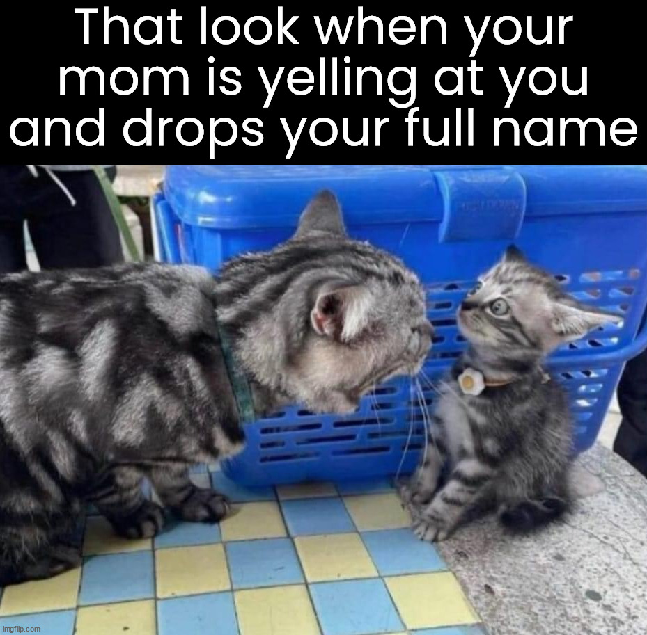 When you really mess up | That look when your mom is yelling at you and drops your full name | image tagged in moms,yelling,full name | made w/ Imgflip meme maker