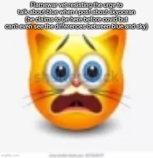 cat stock emoji scared | Flamewar vet resisting the urge to talk about blue when i post about skyocean (he claims to be here before covid but can't even see the differences between blue and sky) | image tagged in cat stock emoji scared | made w/ Imgflip meme maker