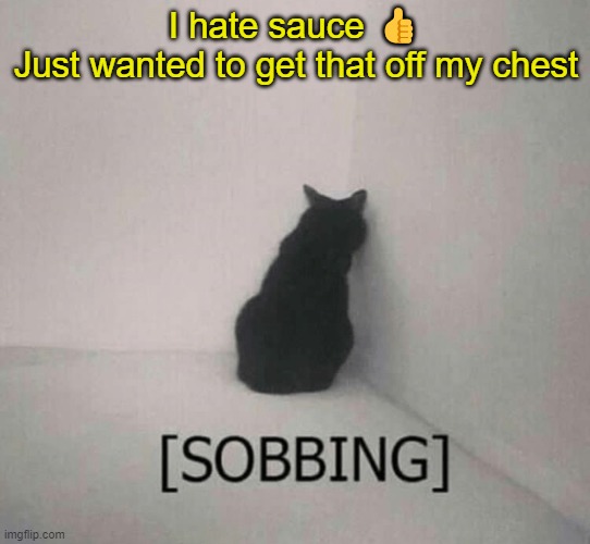 Sobbing cat | I hate sauce 👍
Just wanted to get that off my chest | image tagged in sobbing cat | made w/ Imgflip meme maker