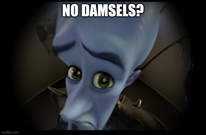 No B****es? | NO DAMSELS? | image tagged in no b es,no damsels | made w/ Imgflip meme maker