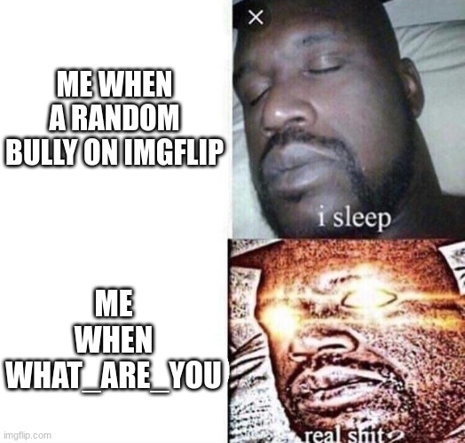 i sleep real shit | ME WHEN A RANDOM BULLY ON IMGFLIP; ME WHEN WHAT_ARE_YOU | image tagged in i sleep real shit | made w/ Imgflip meme maker