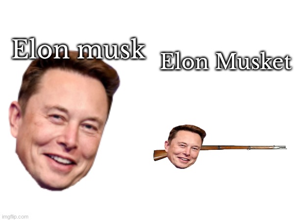 My friend said this in the middle of class. Credit to him for the idea | Elon Musket; Elon musk | image tagged in elon musk | made w/ Imgflip meme maker