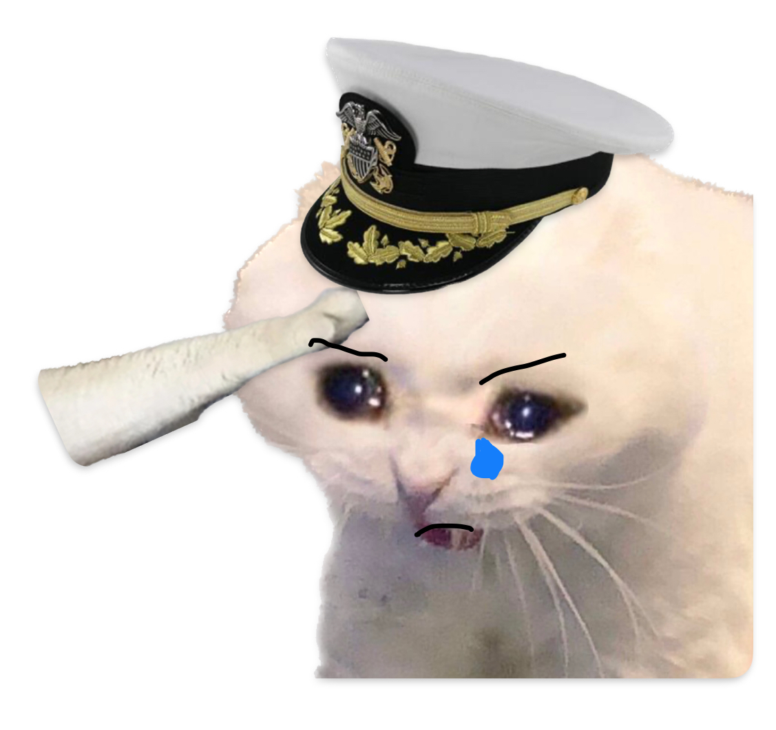 Saluting Navy Cat Blank Meme Template