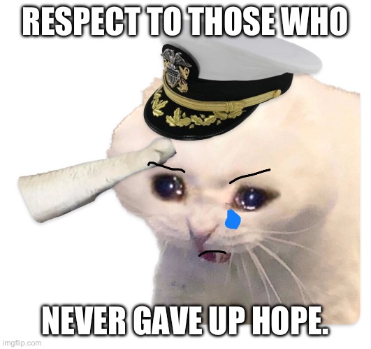 Saluting Navy Cat | RESPECT TO THOSE WHO NEVER GAVE UP HOPE. | image tagged in saluting navy cat | made w/ Imgflip meme maker