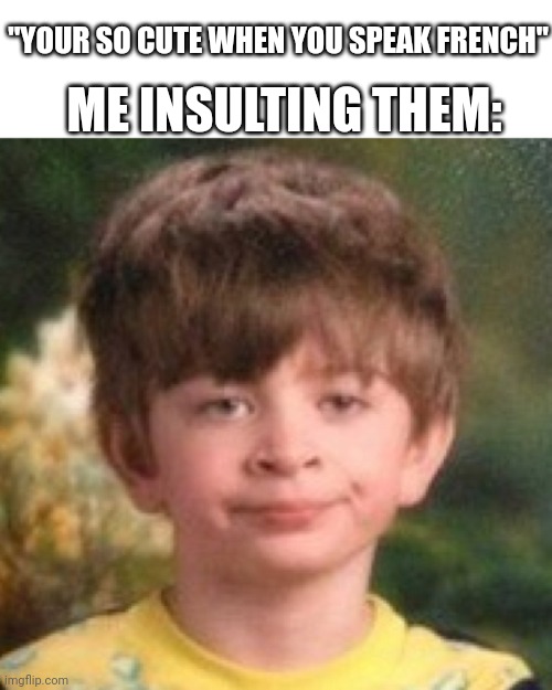 Annoyed face | ME INSULTING THEM:; "YOUR SO CUTE WHEN YOU SPEAK FRENCH" | image tagged in annoyed face | made w/ Imgflip meme maker