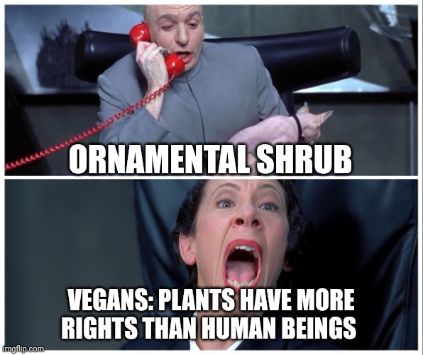 Vegans are insane if they think plants have more rights than human beings | ORNAMENTAL SHRUB; VEGANS: PLANTS HAVE MORE RIGHTS THAN HUMAN BEINGS | image tagged in dr evil and frau yelling,vegans | made w/ Imgflip meme maker