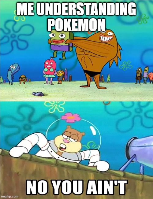 No you Aint | ME UNDERSTANDING POKEMON | image tagged in no you aint | made w/ Imgflip meme maker
