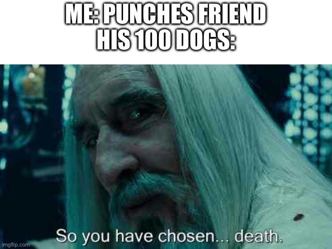 :p | ME: PUNCHES FRIEND
HIS 100 DOGS: | image tagged in so you have chosen death,minecraft,front page,memes,funny,relatable | made w/ Imgflip meme maker