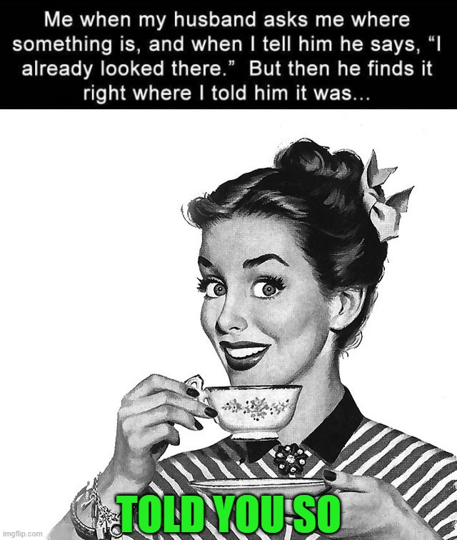 TOLD YOU SO | image tagged in retro woman teacup | made w/ Imgflip meme maker