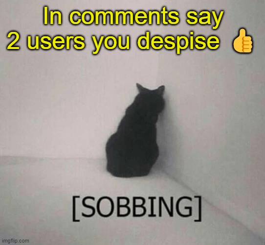 Sobbing cat | In comments say 2 users you despise 👍 | image tagged in sobbing cat | made w/ Imgflip meme maker