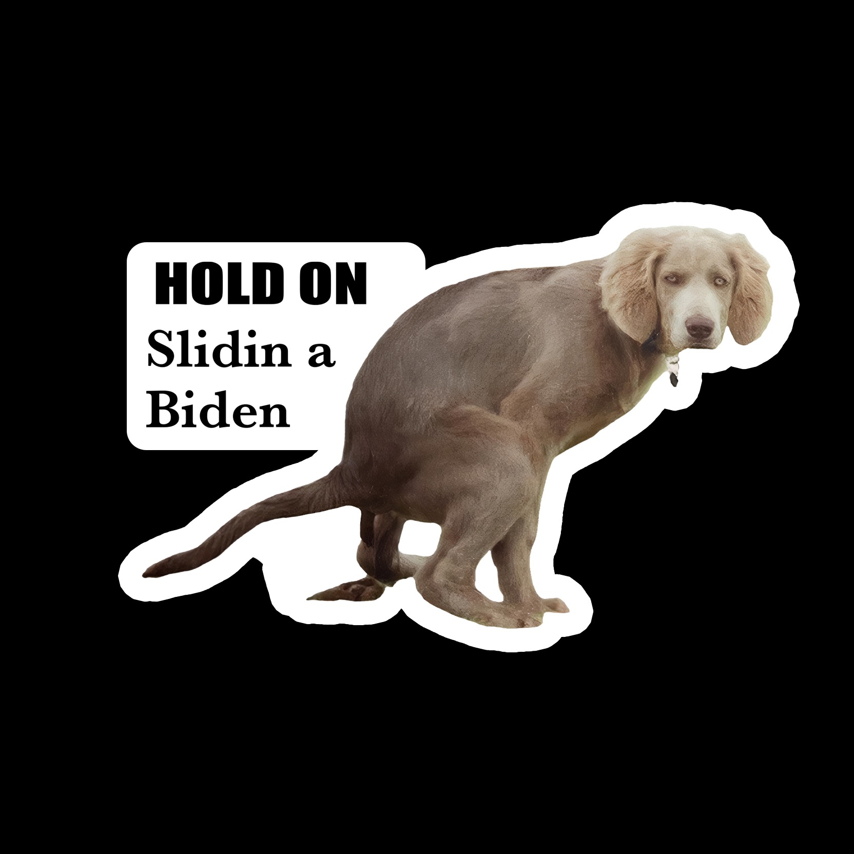 Hold on. I'm slidin' a Biden. | image tagged in pooping,creepy joe biden,sliding,biden,good boy,shitpost | made w/ Imgflip meme maker