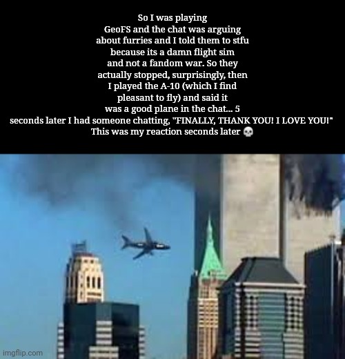 GeoFS chat is always somewhat like that too— | So I was playing GeoFS and the chat was arguing about furries and I told them to stfu because its a damn flight sim and not a fandom war. So they actually stopped, surprisingly, then I played the A-10 (which I find pleasant to fly) and said it was a good plane in the chat... 5 seconds later I had someone chatting, "FINALLY, THANK YOU! I LOVE YOU!" 

This was my reaction seconds later 💀 | image tagged in 9/11 plane crash | made w/ Imgflip meme maker