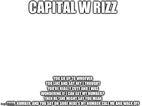 Capital w rizz | CAPITAL W RIZZ; YOU GO UP TO WHOEVER YOU LIKE AND SAY HEY I THOUGHT YOU’RE REALLY CUTE AND I WAS WONDERING IF I CAN GET MY NUMBER?  THEN HE/SHE MIGHT SAY YOU MEAN YOUR NUMBER, AND YOU SAY OH SURE HERE’S MY NUMBER CALL ME AND WALK OFF | image tagged in subtle pickup liner | made w/ Imgflip meme maker