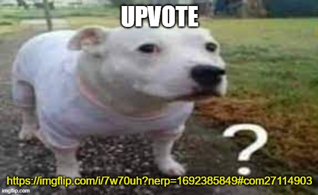 Huh | UPVOTE; https://imgflip.com/i/7w70uh?nerp=1692385849#com27114903 | image tagged in dog question mark | made w/ Imgflip meme maker