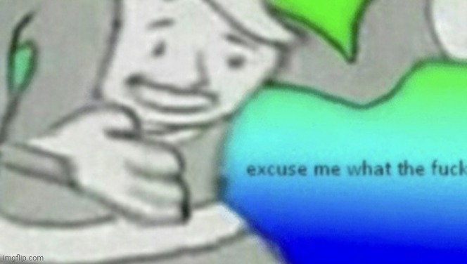 excuse me wtf blank no top space | image tagged in excuse me wtf blank no top space | made w/ Imgflip meme maker