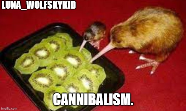 Cannibalism? | LUNA_WOLFSKYKID; CANNIBALISM. | image tagged in kiwi | made w/ Imgflip meme maker