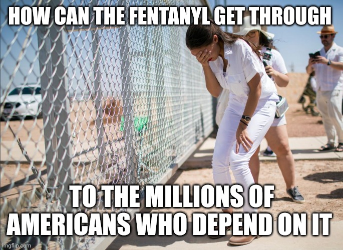 AOC discovers the existence of fences | HOW CAN THE FENTANYL GET THROUGH TO THE MILLIONS OF AMERICANS WHO DEPEND ON IT | image tagged in aoc discovers the existence of fences | made w/ Imgflip meme maker