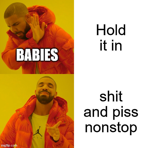 The parents regret not using protection | Hold it in; BABIES; shit and piss nonstop | image tagged in memes,drake hotline bling | made w/ Imgflip meme maker