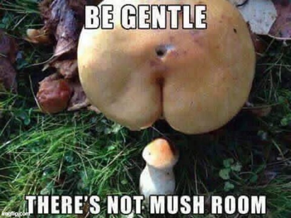 No Room | image tagged in sex jokes | made w/ Imgflip meme maker