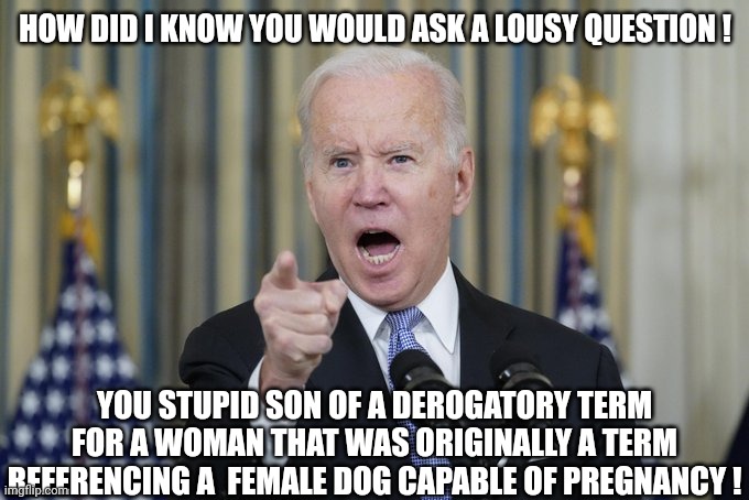 Mad Biden | HOW DID I KNOW YOU WOULD ASK A LOUSY QUESTION ! YOU STUPID SON OF A DEROGATORY TERM FOR A WOMAN THAT WAS ORIGINALLY A TERM REFERENCING A  FE | image tagged in mad biden | made w/ Imgflip meme maker