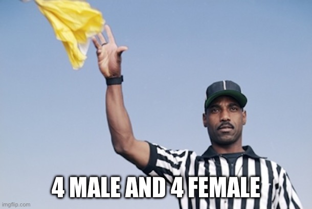 Flag on the play | 4 MALE AND 4 FEMALE | image tagged in flag on the play | made w/ Imgflip meme maker