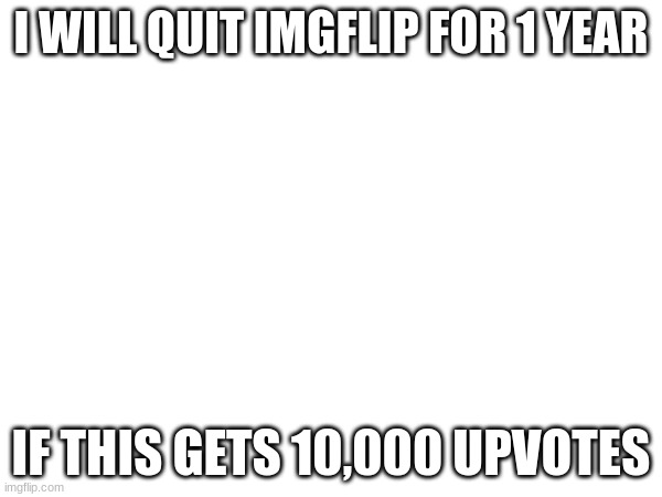 123 | I WILL QUIT IMGFLIP FOR 1 YEAR; IF THIS GETS 10,000 UPVOTES | image tagged in 2023 | made w/ Imgflip meme maker