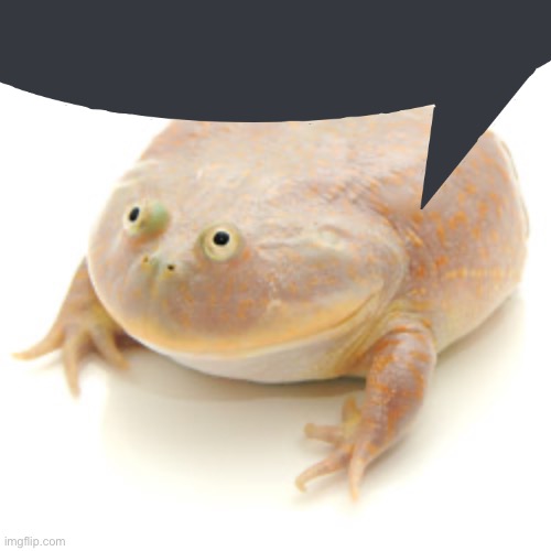 What the frog saying? | image tagged in it is wednesday my dudes | made w/ Imgflip meme maker