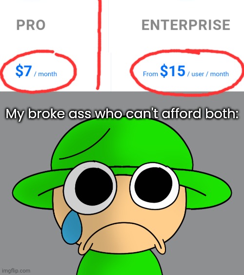 I mean come on, 15 dollars A MONTH??!?!?!?? | My broke ass who can't afford both: | image tagged in sad bandu 2,idk,stuff,s o u p,carck | made w/ Imgflip meme maker