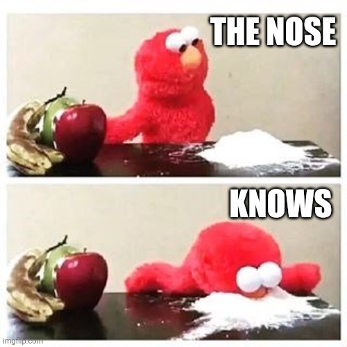 elmo cocaine | THE NOSE KNOWS | image tagged in elmo cocaine | made w/ Imgflip meme maker