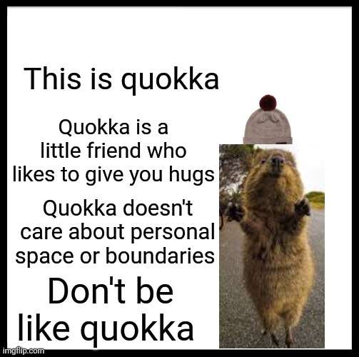Be Like Bill | This is quokka; Quokka is a little friend who likes to give you hugs; Quokka doesn't care about personal space or boundaries; Don't be like quokka | image tagged in memes,be like bill | made w/ Imgflip meme maker