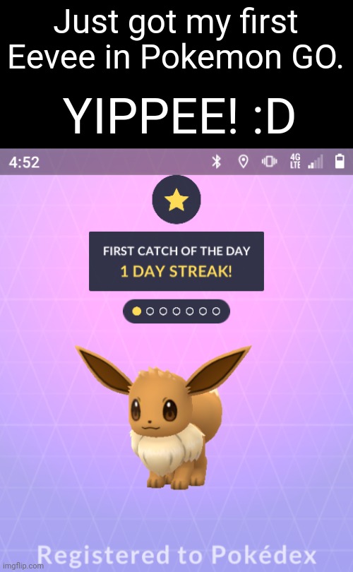 First time is always the best. | Just got my first Eevee in Pokemon GO. YIPPEE! :D | image tagged in eevee,pokemon go | made w/ Imgflip meme maker