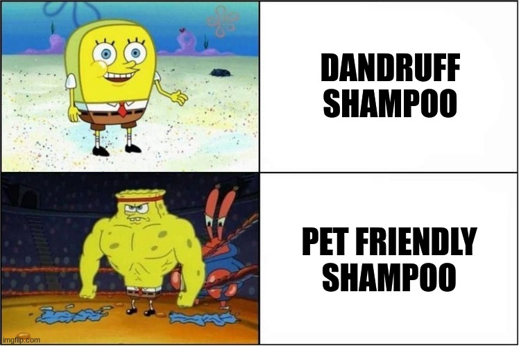 pet friendly shampoo | DANDRUFF SHAMPOO; PET FRIENDLY SHAMPOO | image tagged in weak vs strong spongebob | made w/ Imgflip meme maker