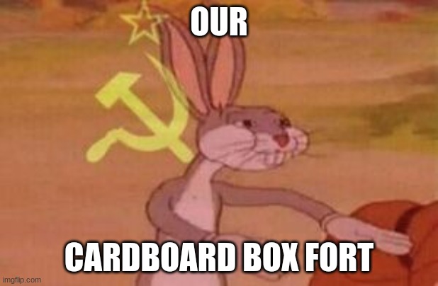 our Cardboard fortress | OUR; CARDBOARD BOX FORT | image tagged in our | made w/ Imgflip meme maker