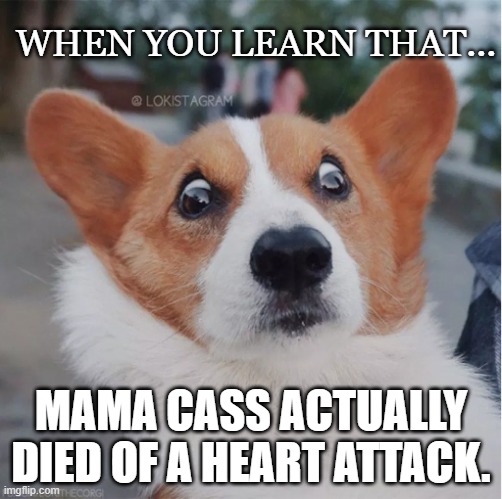 corgi mind blown | WHEN YOU LEARN THAT... MAMA CASS ACTUALLY DIED OF A HEART ATTACK. | image tagged in corgi mind blown | made w/ Imgflip meme maker
