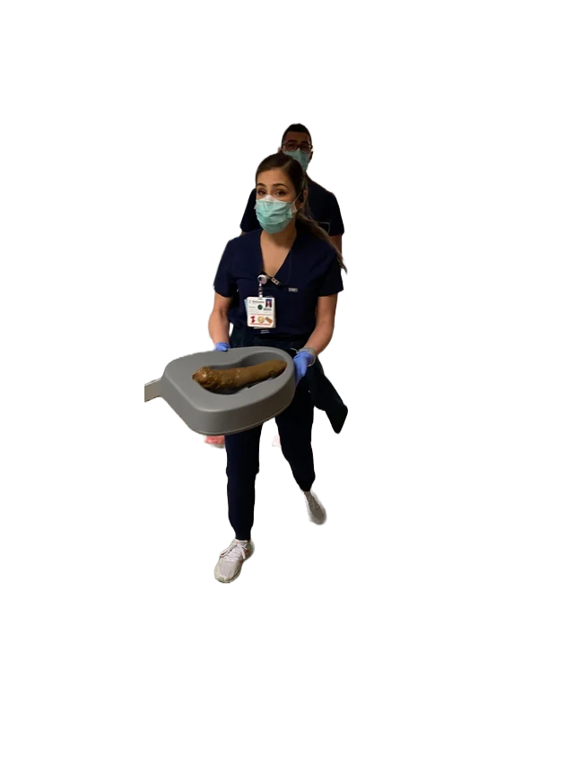 Shit nurse Blank Meme Template