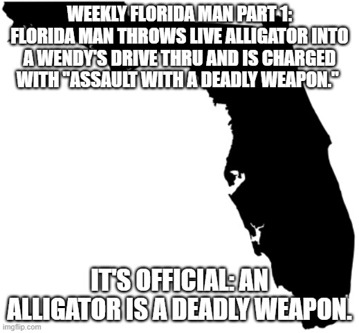 what is wrong with this place | WEEKLY FLORIDA MAN PART 1:
FLORIDA MAN THROWS LIVE ALLIGATOR INTO A WENDY'S DRIVE THRU AND IS CHARGED WITH "ASSAULT WITH A DEADLY WEAPON."; IT'S OFFICIAL: AN ALLIGATOR IS A DEADLY WEAPON. | image tagged in florida,florida man,meanwhile in florida,alligator | made w/ Imgflip meme maker