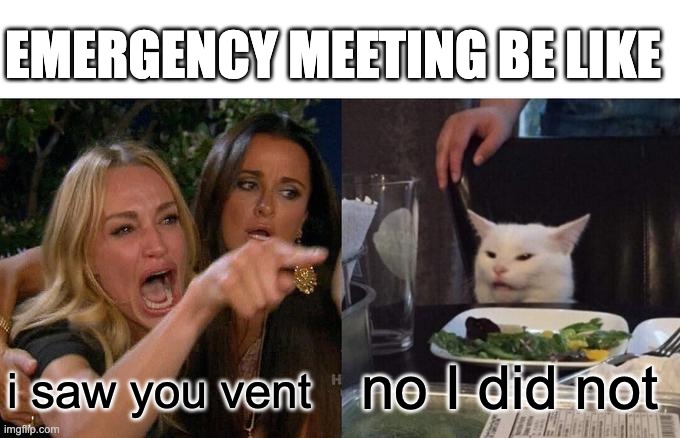 Woman Yelling At Cat Meme | EMERGENCY MEETING BE LIKE; no I did not; i saw you vent | image tagged in memes,woman yelling at cat | made w/ Imgflip meme maker