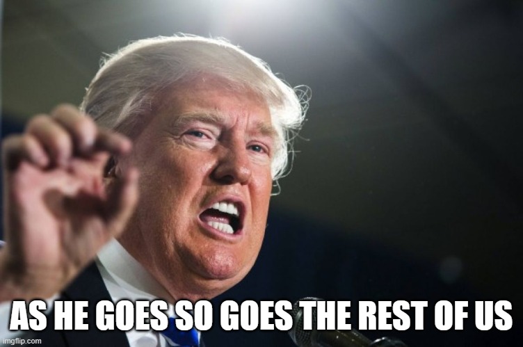 donald trump | AS HE GOES SO GOES THE REST OF US | image tagged in donald trump | made w/ Imgflip meme maker